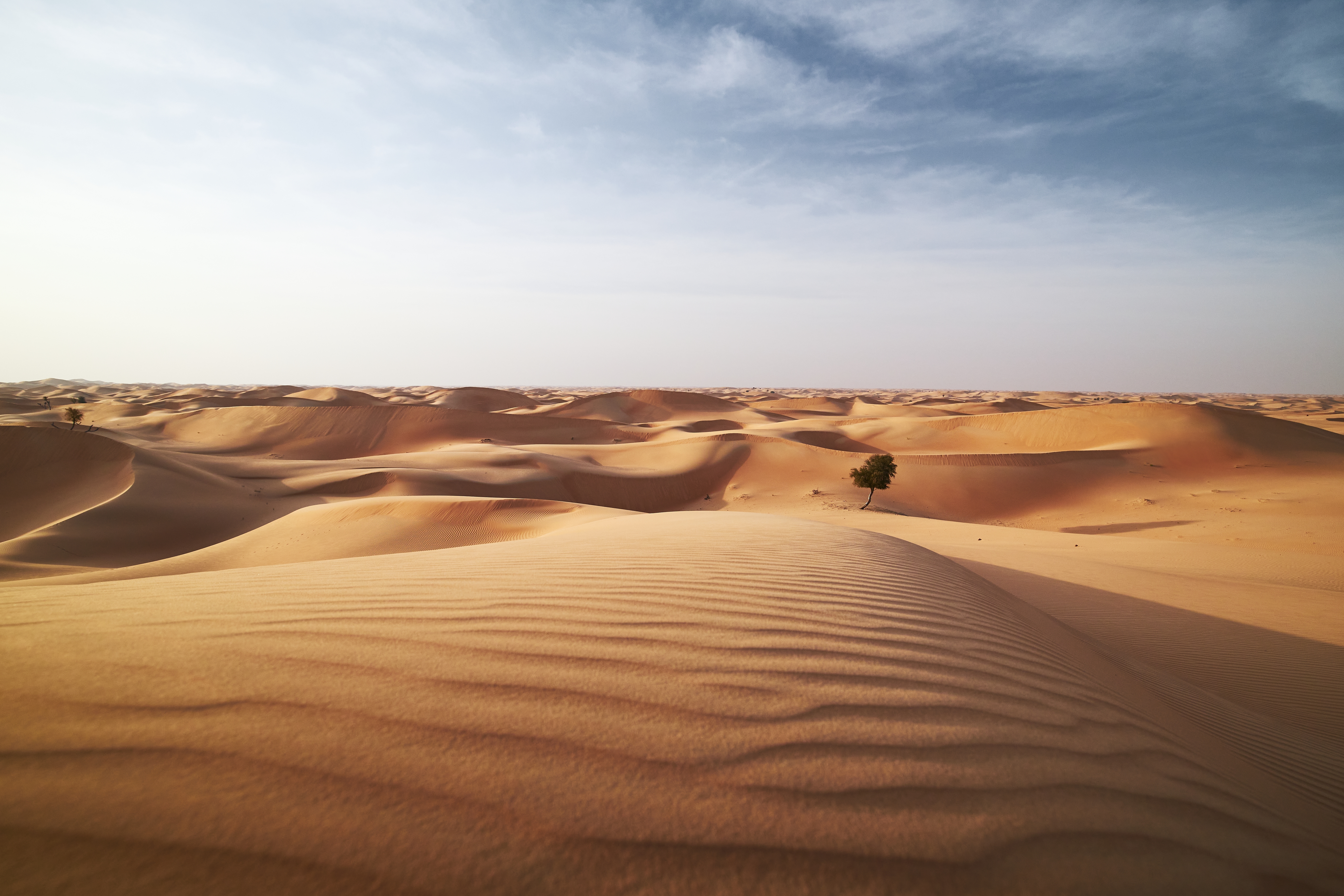 Sand Dunes in Desert Landscape